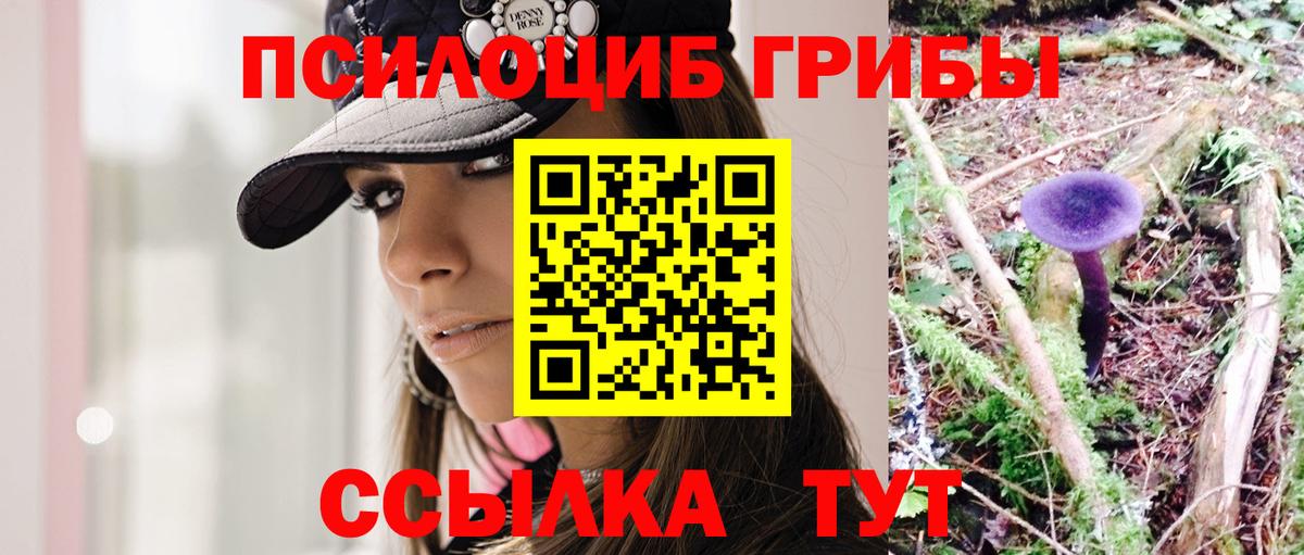 Похвистнево  Псилоцибиновые грибы Cubensis  Вход с VPN 